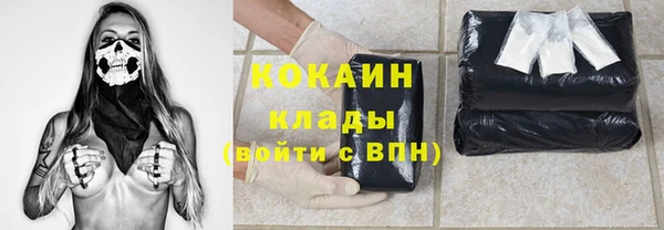 стаф Белокуриха