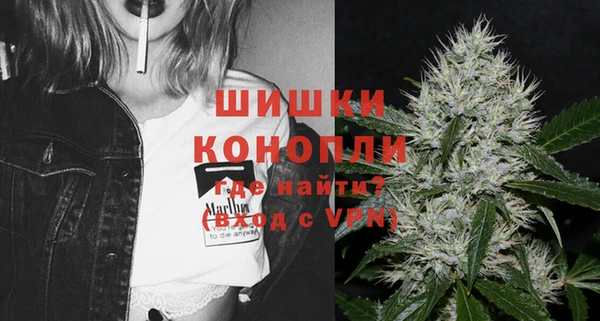 стаф Белокуриха