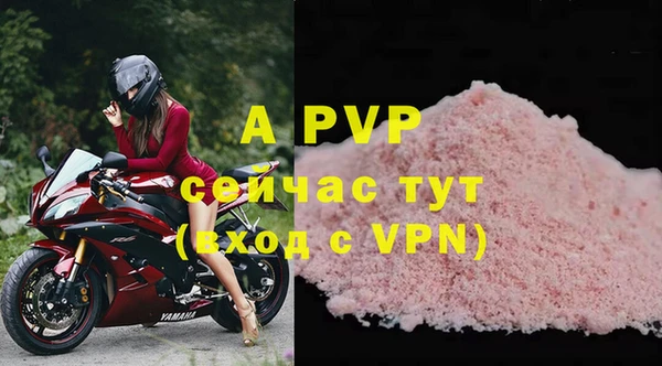 ALPHA PVP Беломорск