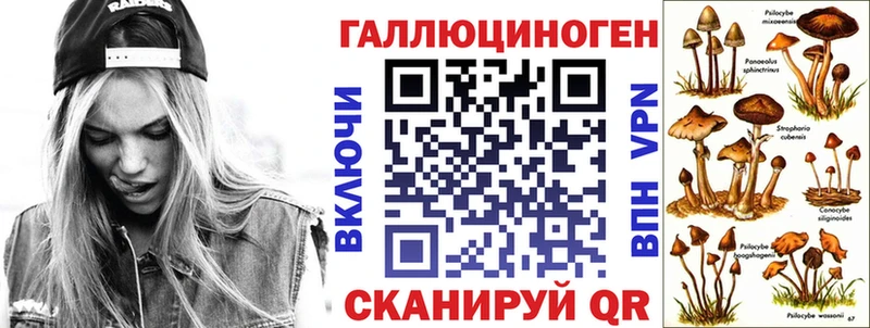 ОМГ ОМГ ONION  Володарск  Псилоцибиновые грибы Psilocybine cubensis  как найти закладки 